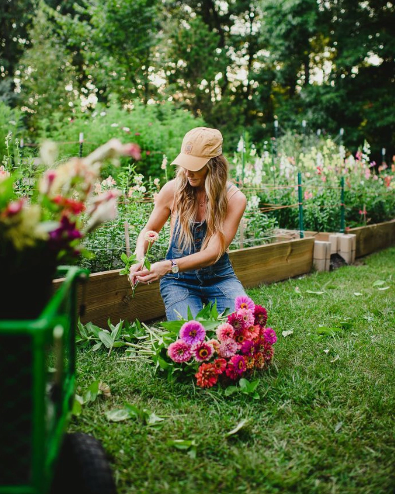 Caring for your spring flower beds